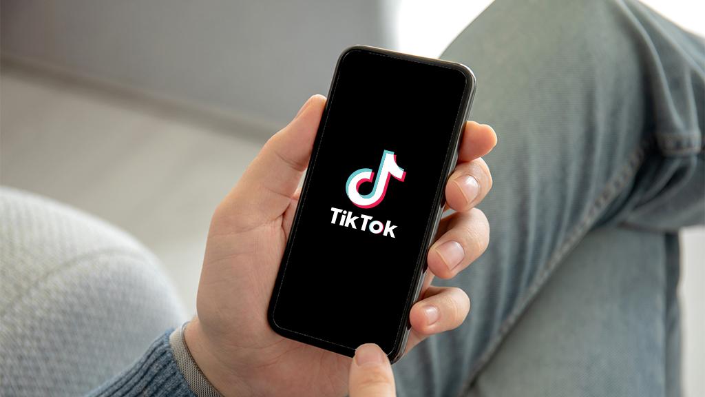 TikTok: Embracing New Opportunities Beyond the Viral App 1
